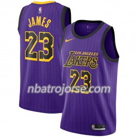 Män Los Angeles Lakers Tröja LeBron James 23 2018-19 Nike City Edition Lila Swingman